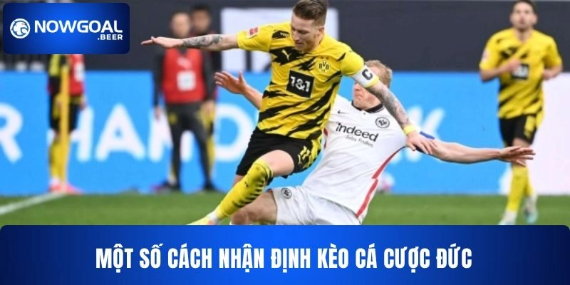 Một số cách để bạn nhận định kèo cá cược Đức hiệu quả 