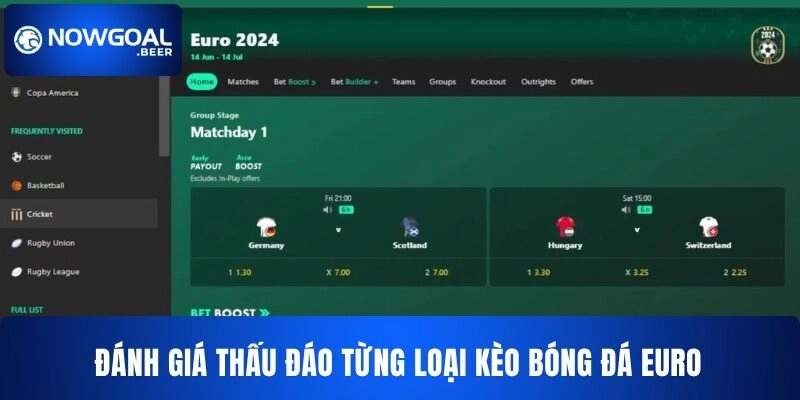 Đánh giá thấu đáo từng loại kèo bóng đá Euro NOWGOAL