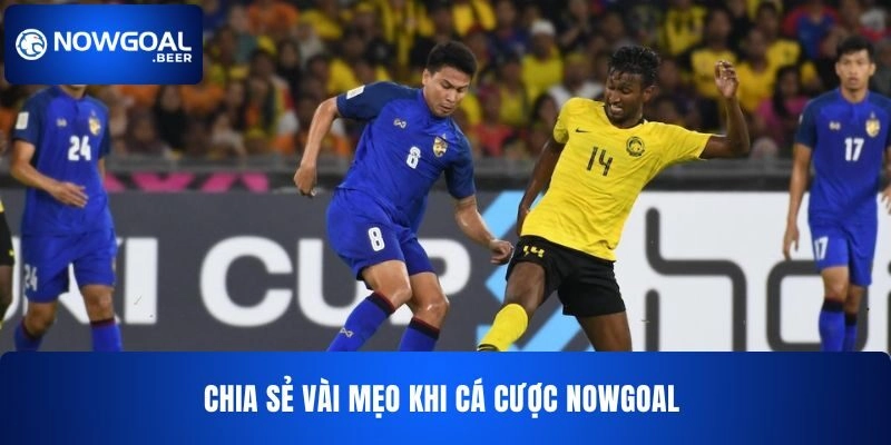 Chia sẻ vài mẹo khi cá cược NOWGOAL 
