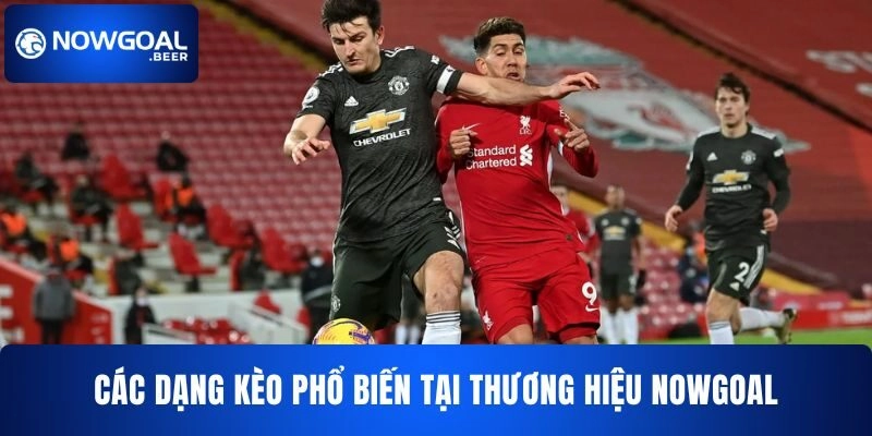 ty le keo nha cai nowgoal cac dang keo Các dạng kèo phổ biến tại thương hiệu NOWGOAL
