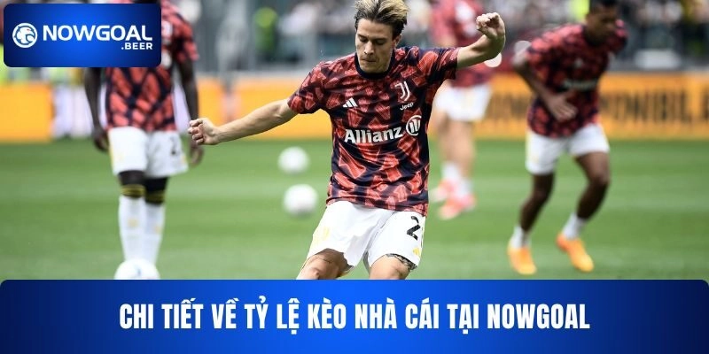 ty le keo nha cai nowgoal chi tiet Chi tiết về tỷ lệ kèo nhà cái NOWGOAL